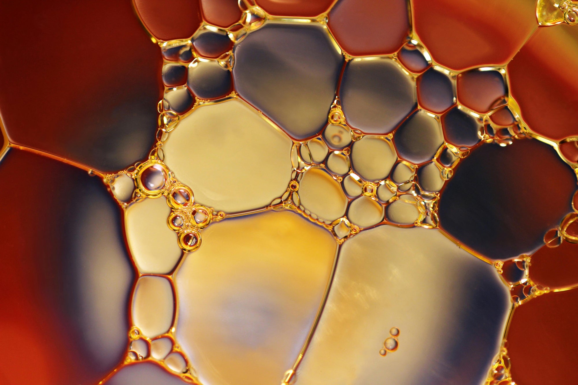 Hair Oils 101: The Boujie Girl’s Guide to Treatments That Actually Work